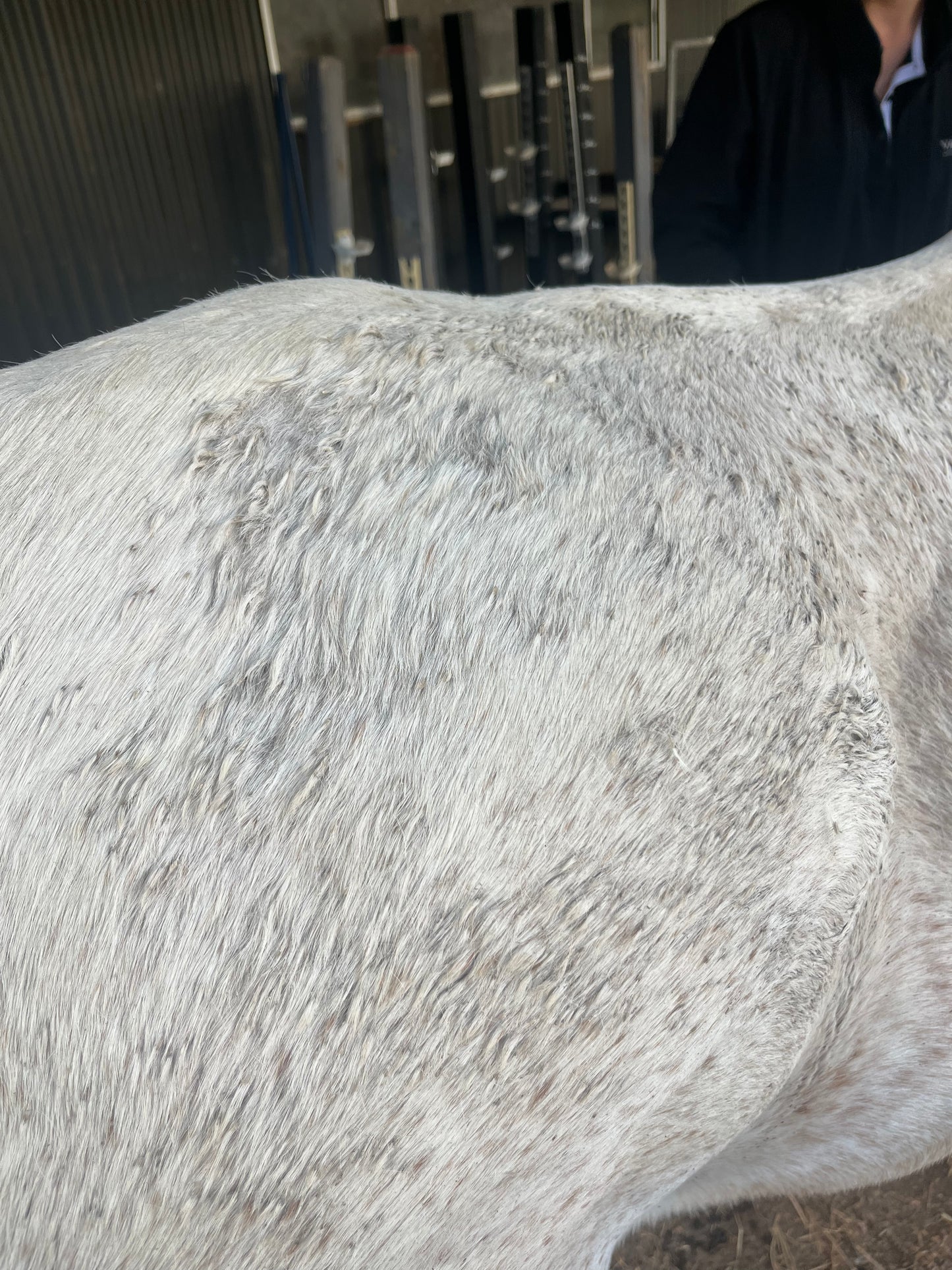 Itchy Ben Soap Bar Bundle (4 x 150g)